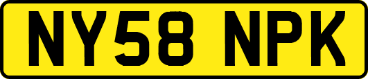 NY58NPK