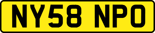 NY58NPO