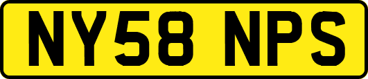 NY58NPS