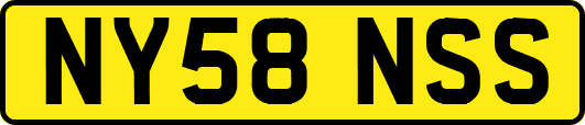 NY58NSS
