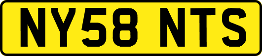 NY58NTS