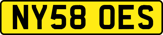 NY58OES
