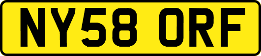 NY58ORF