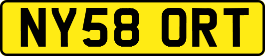 NY58ORT