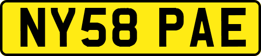 NY58PAE
