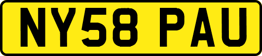 NY58PAU