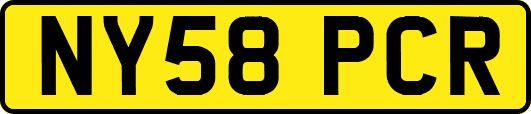 NY58PCR