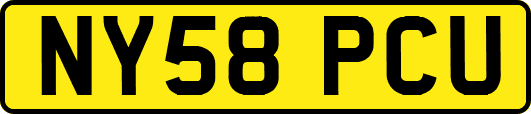 NY58PCU