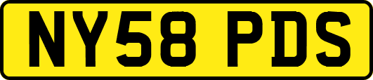NY58PDS