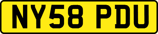 NY58PDU