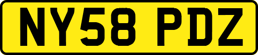 NY58PDZ