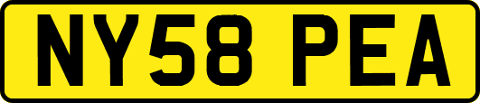 NY58PEA