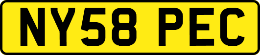 NY58PEC