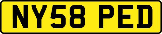NY58PED