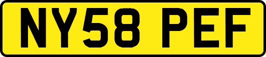 NY58PEF