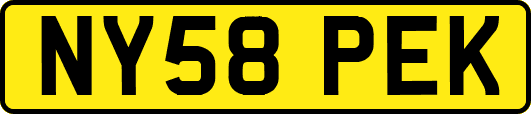 NY58PEK