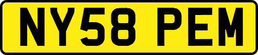 NY58PEM