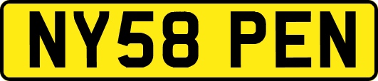 NY58PEN