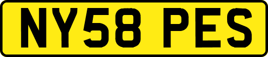 NY58PES