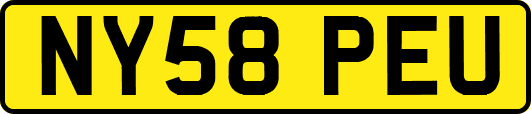 NY58PEU