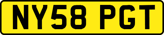 NY58PGT