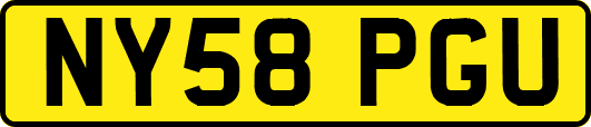 NY58PGU