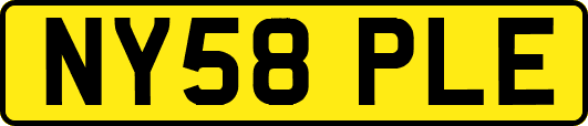 NY58PLE