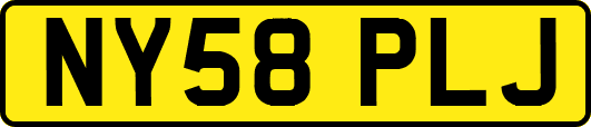 NY58PLJ