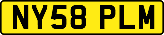 NY58PLM