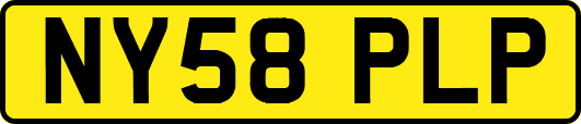 NY58PLP