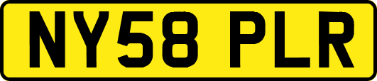 NY58PLR