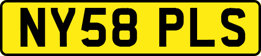 NY58PLS