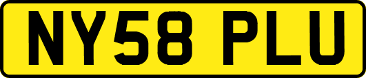 NY58PLU