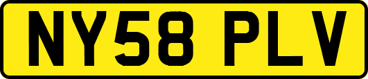 NY58PLV