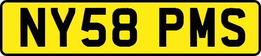 NY58PMS