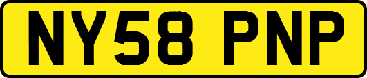 NY58PNP