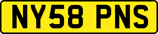 NY58PNS