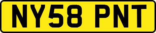 NY58PNT