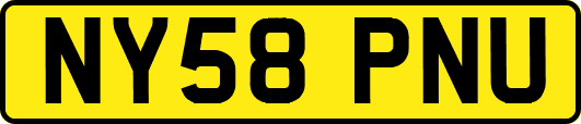 NY58PNU