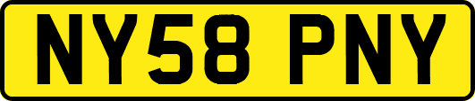 NY58PNY