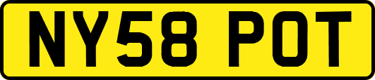 NY58POT