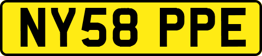 NY58PPE