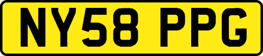 NY58PPG