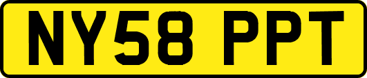 NY58PPT