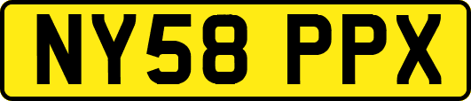NY58PPX