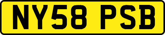 NY58PSB