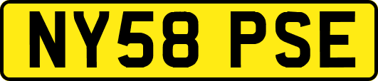 NY58PSE