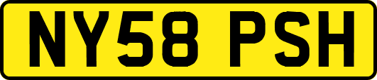 NY58PSH