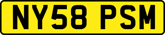 NY58PSM