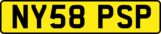NY58PSP